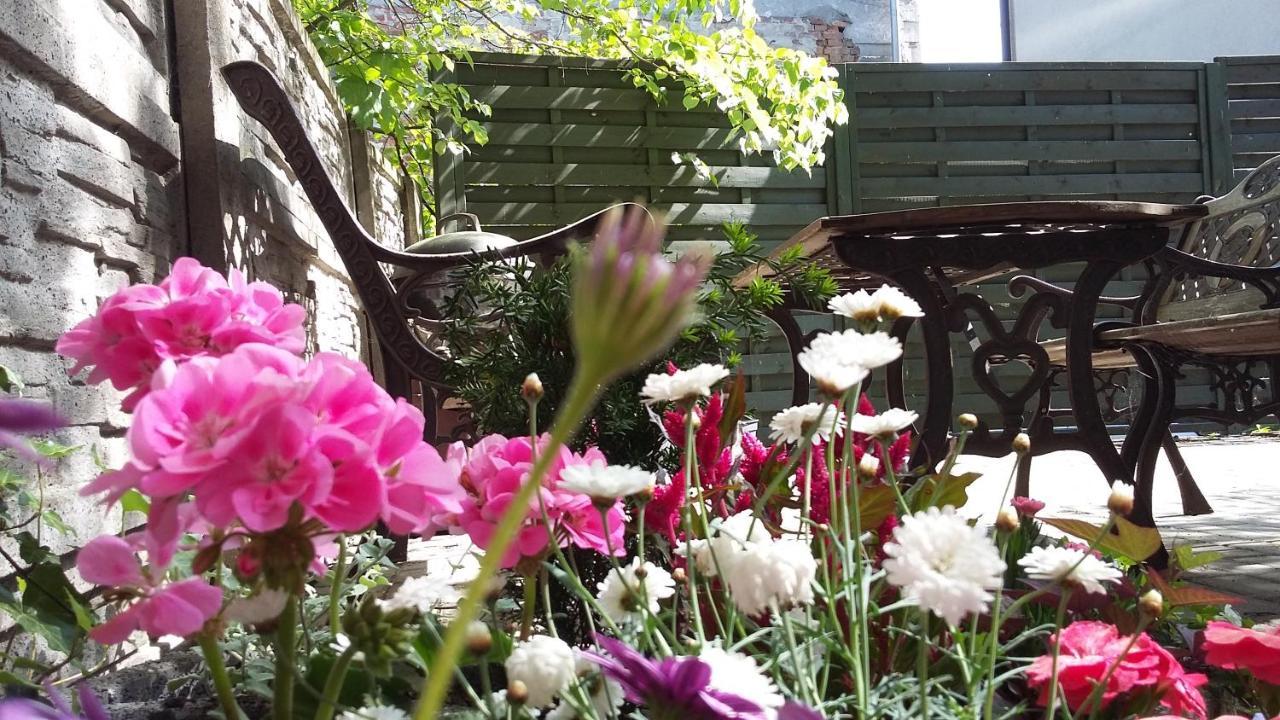 Apartamenty Krzywe Okna Zielona Góra Exterior foto
